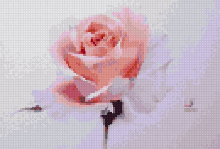 Ла фе - цветы розы - предпросмотр