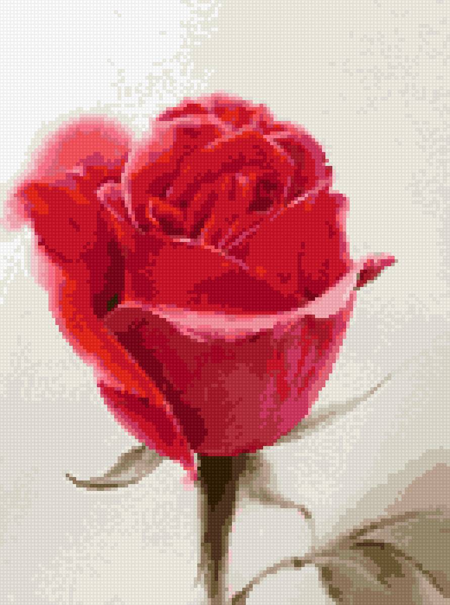 Ла фе - цветы розы - предпросмотр