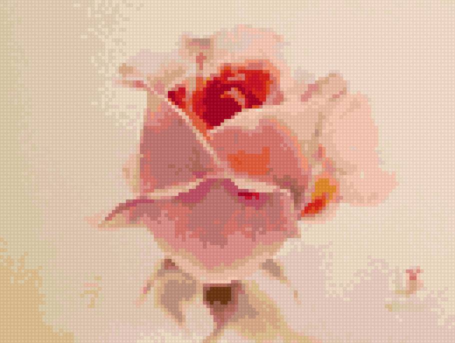 Ла фе - цветы розы - предпросмотр