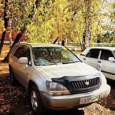 Схема вышивки «Харриер»