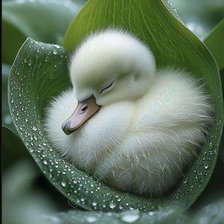 Схема вышивки «Малюк»