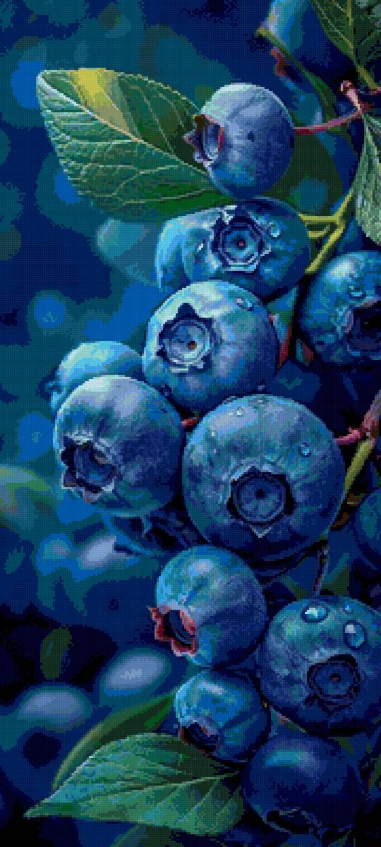 Ирга - ирга, ягода - предпросмотр