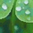 Предпросмотр схемы вышивки «Клевер» (№2839181)