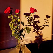 Схема вышивки «Розы»