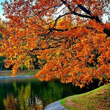 Схема вышивки «Осень»