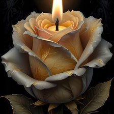 Схема вышивки «Роза»