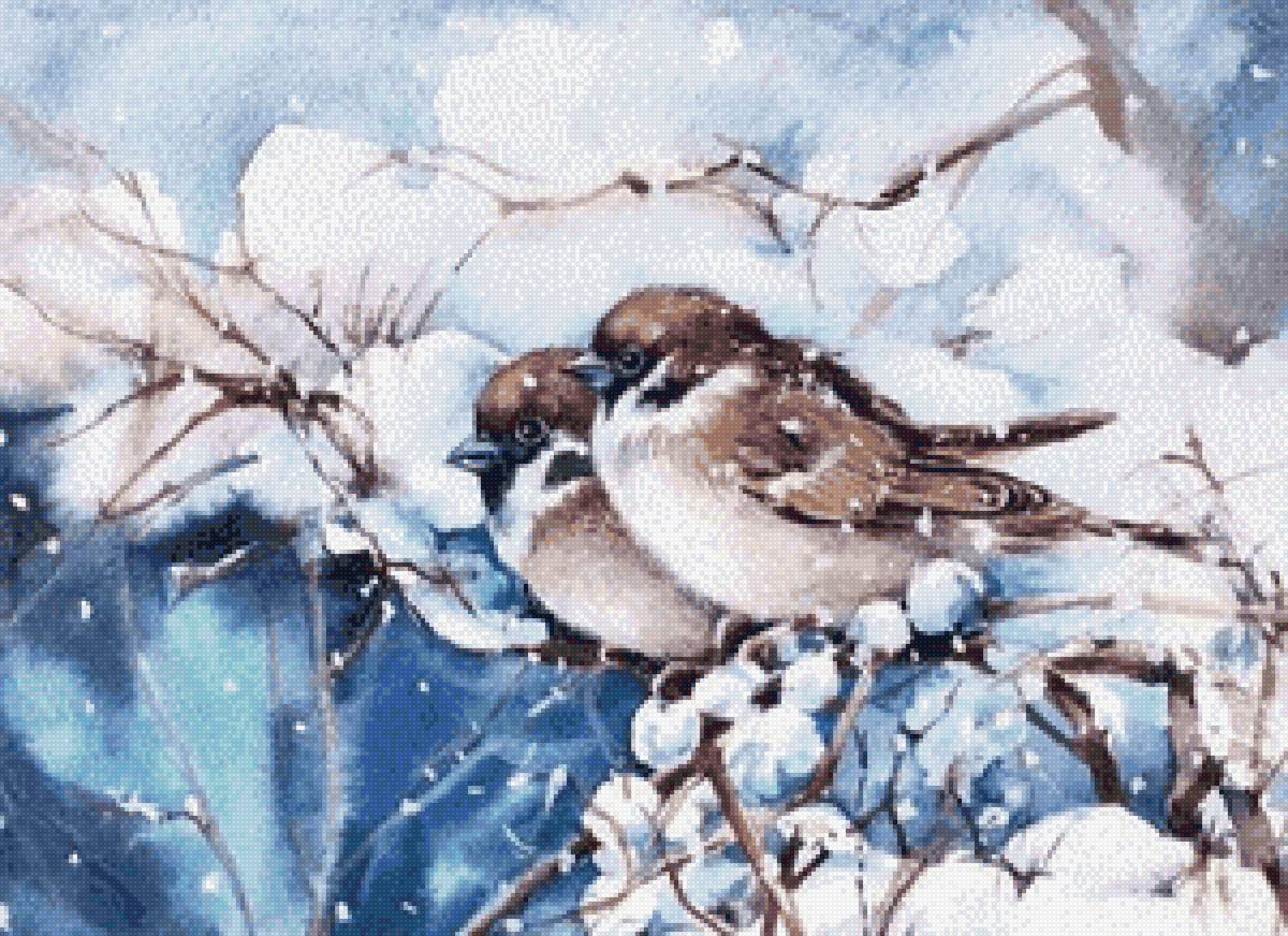 Воробьи - птица, воробей - предпросмотр