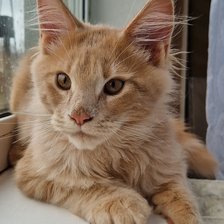 Схема вышивки «Сэм»