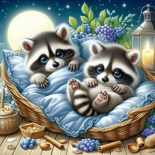 Схема вышивки «еноты»