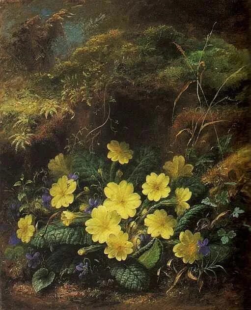 Альберт Дюрер лукас - природа сад цветы - оригинал