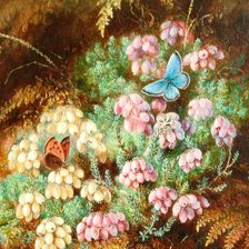 Схема вышивки «Альберт Дюрер лукас»