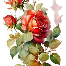 Схема вышивки «розы»