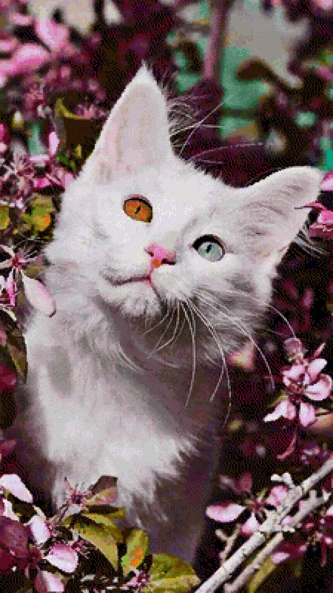 Милка - предпросмотр