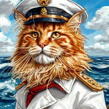 Настоящий капитан