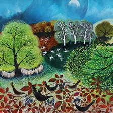 Природа пейзаж лето птицы