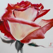 Схема вышивки «Роза»