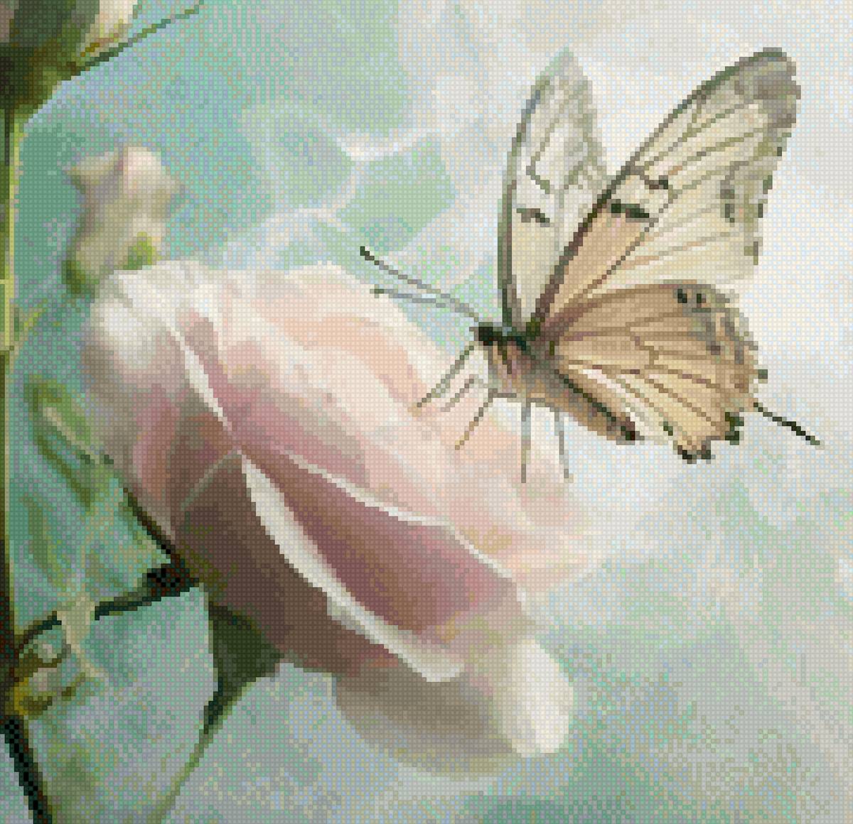 Цветок и бабочка - цветы, бабочка, роза - предпросмотр