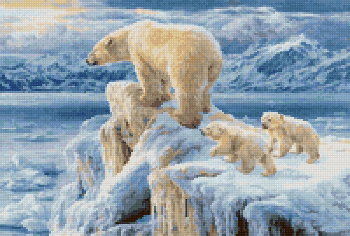 белые медведи - медведи - предпросмотр