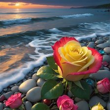 Схема вышивки «🌹роза»