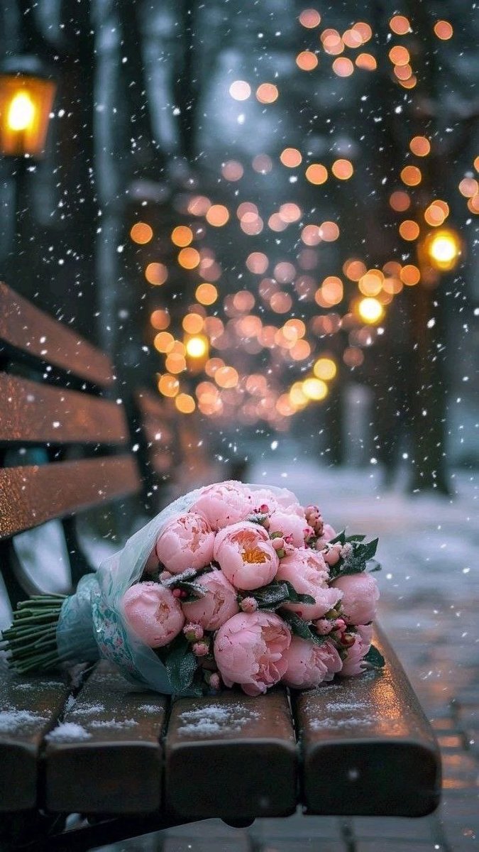 Розы зимой - розы, новый год, цветы - оригинал