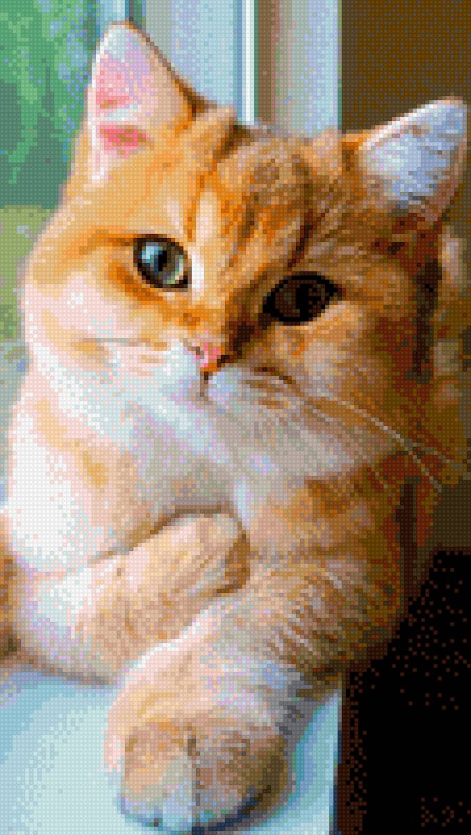 Котик - уошки - предпросмотр