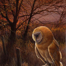 Схема вышивки «Lechuga al atardecer»