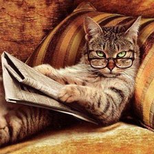 Схема вышивки «№2843243»