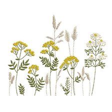 Схема вышивки «Ботаника»