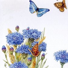 Схема вышивки «Васильки»