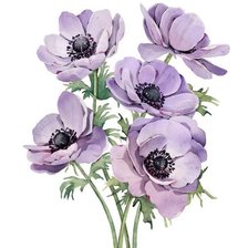 Схема вышивки «№2843579»