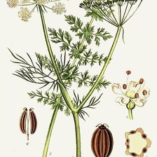 Схема вышивки «№2843581»