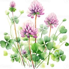 Схема вышивки «№2843583»