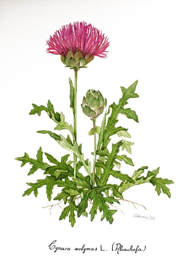 №2843586 - оригинал