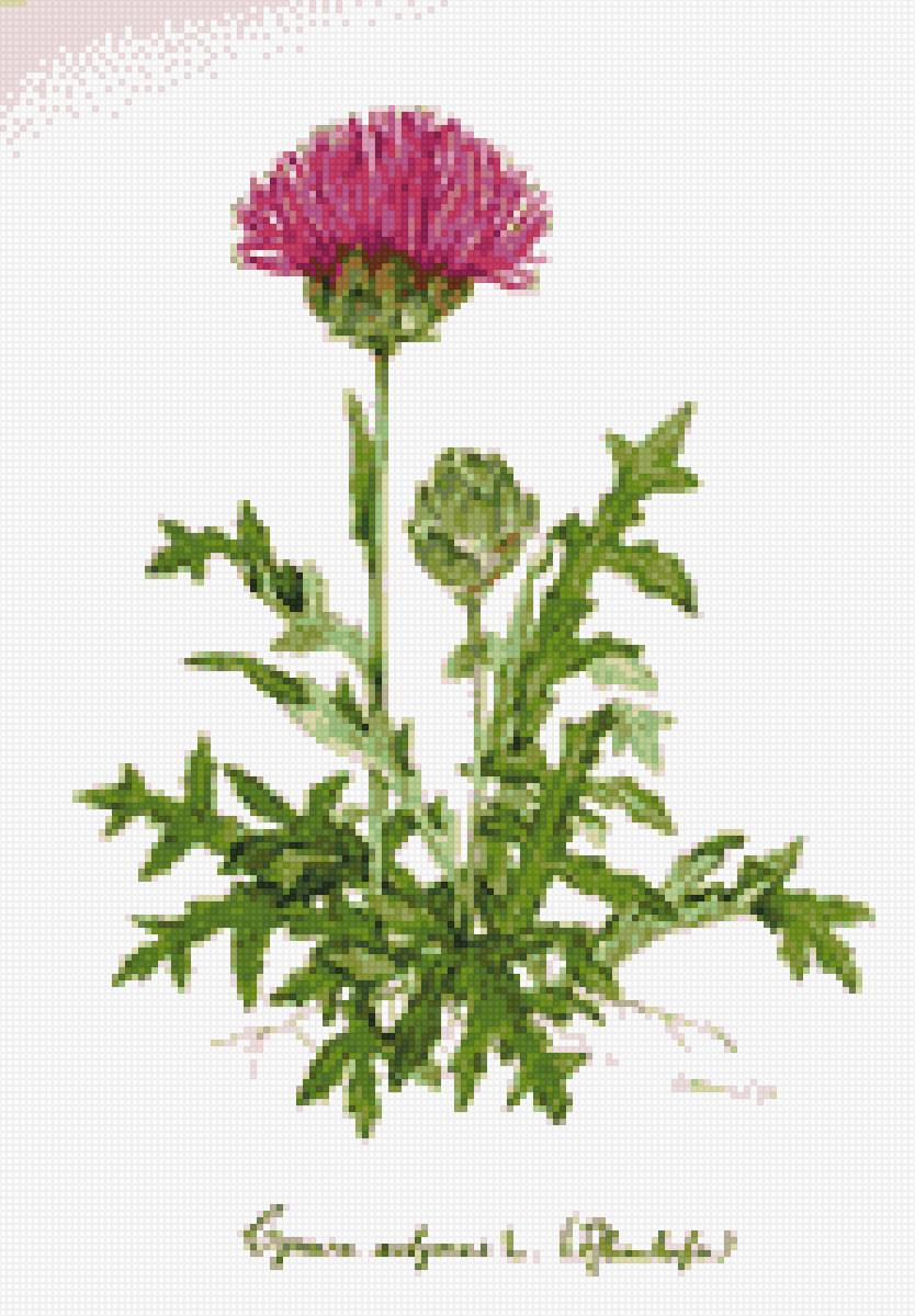 №2843586 - предпросмотр