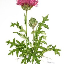 Схема вышивки «№2843586»