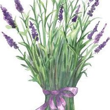 Схема вышивки «№2843615»