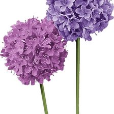 Схема вышивки «№2843618»