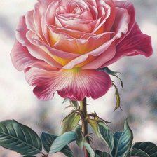 Схема вышивки «Роза»