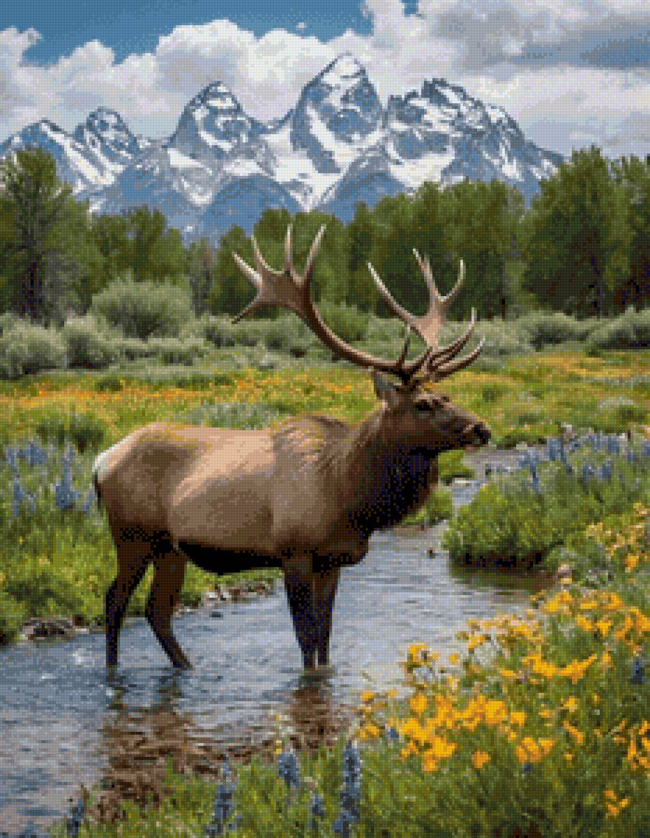 Олень - олень - предпросмотр