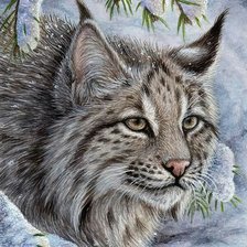 Схема вышивки «Рысь»