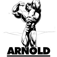 Спорт, Арнольд