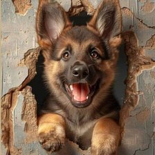 Схема вышивки «Счастье вызывали? Я здесь!»