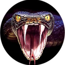 Схема вышивки «Змея»