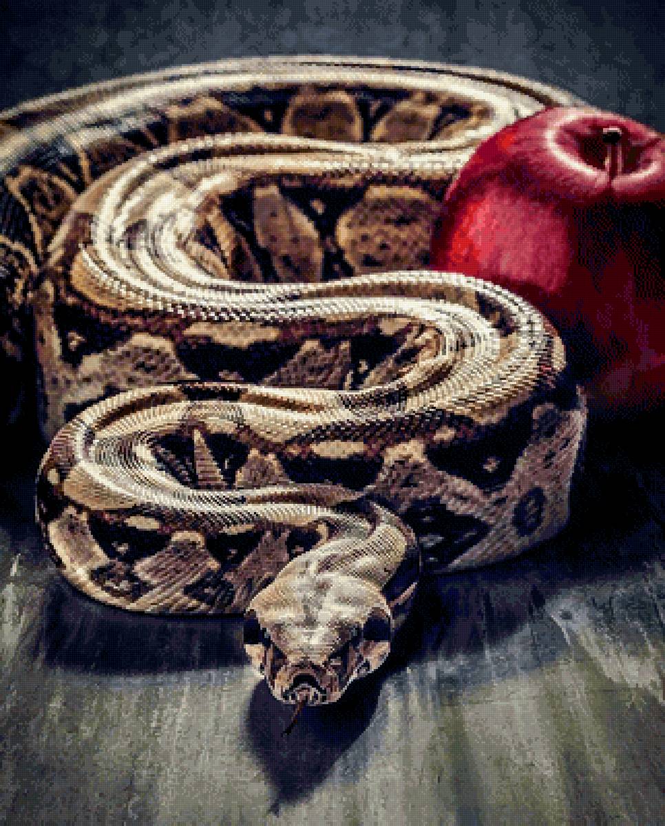 Змей искуситель - предпросмотр