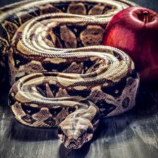 Змей искуситель