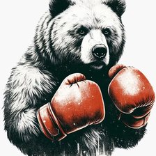 Спорт, бокс