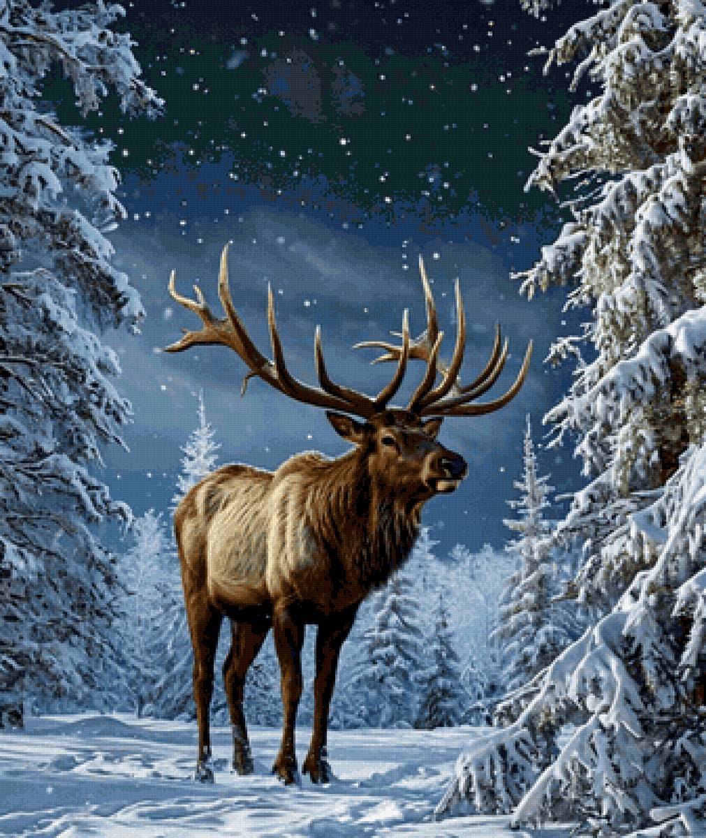 №2844931 - предпросмотр