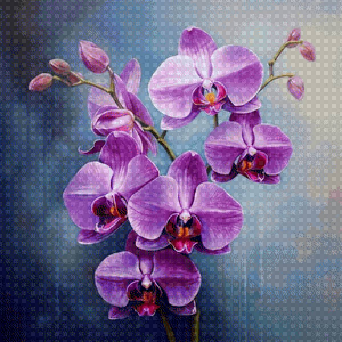 Архидеи - архидеи, цветы - предпросмотр