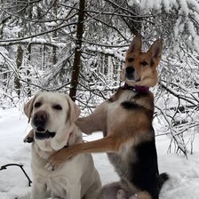 Схема вышивки «Лучшие друзья»