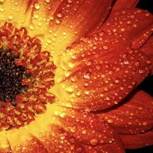 Схема вышивки «Цветок»